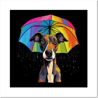 Whippet Rainy Day With Umbrella Posters and Art